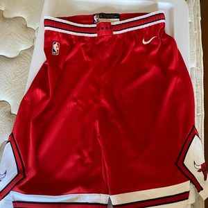 Nike Chicago Bulls Jersey Shorts